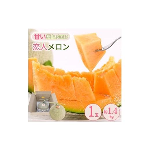 ふるさと納税 メロン 熊本県 美里町 期間限定 数量限定 熊本県 美里町 「恋人メロン」 赤肉メロン 約1.4kg(1玉) 上田農園 1680907