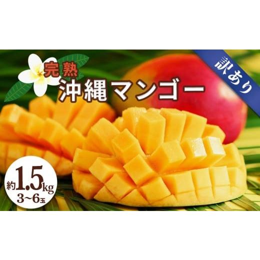 ふるさと納税 マンゴー 沖縄県 うるま市 沖縄県産 訳ありマンゴー 1.5kg 先行予約 2026年発送 マンゴー 濃厚 甘い ジューシー 南国 フルーツ 果物 産地直送 訳…