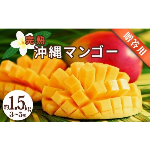 ふるさと納税 マンゴー 沖縄県 うるま市 沖縄県産 贈答用マンゴー 1.5kg 先行予約 2026年発送 マンゴー 濃厚 甘い ジューシー 南国 フルーツ 果物 産地直送 プ…