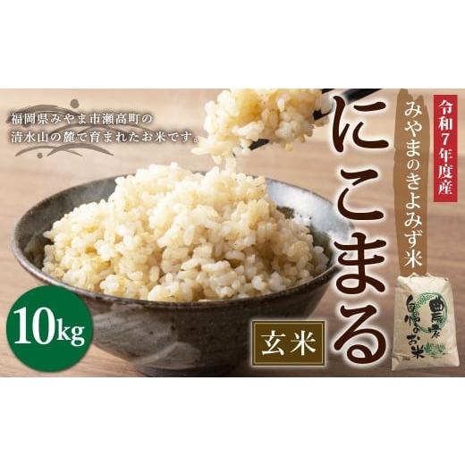 ふるさと納税 玄米 福岡県 みやま市 A233 みやまのきよみず米 にこまる 10kg 玄米 2025年11月上旬より順次発送予定
