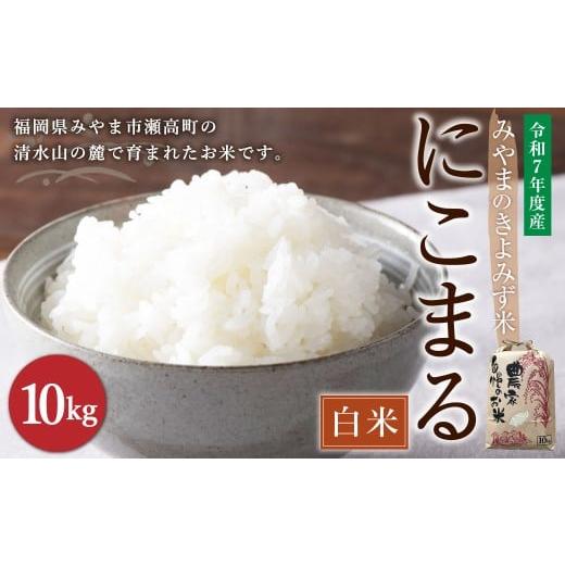 ふるさと納税 米 にこまる 福岡県 みやま市 A234 みやまのきよみず米 にこまる 10kg 白米 2025年11月上旬より順次発送予定