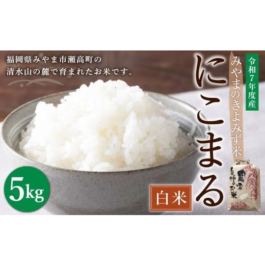 ふるさと納税 米 にこまる 福岡県 みやま市 A285 みやまのきよみず米 にこまる 5kg(白米) 2025年11月上旬より順次発送予定 米 おこめ 精米 コメ ごはん ブラ…