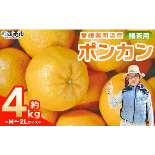 ふるさと納税 果物類 みかん 愛媛県 西予市 先行予約 明浜産 ポンカン M〜2Lサイズ 約4kg 贈答用 果物 くだもの フルーツ 蜜柑 みかん ミカン 柑橘 贈答 ギフ…