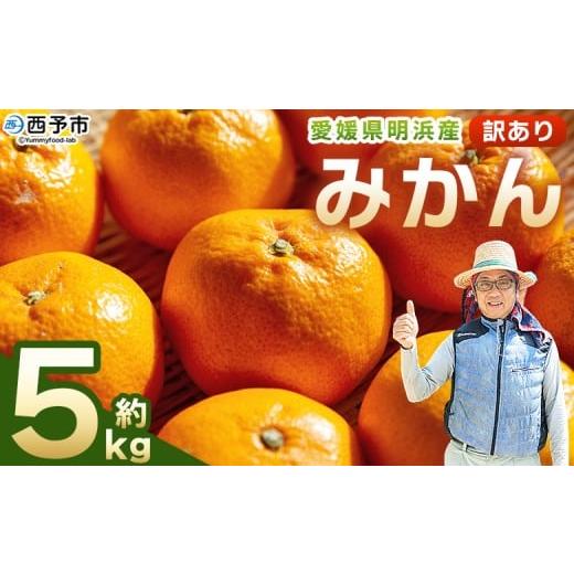 ふるさと納税 果物類 みかん 愛媛県 西予市 先行予約 明浜産 訳あり みかん 約5kg 果物 くだもの フルーツ 蜜柑 みかん ミカン 柑橘 ワケアリ 家庭用 食べて応…