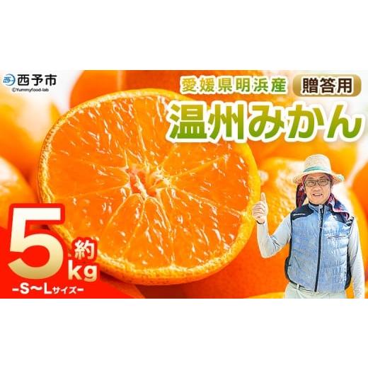 ふるさと納税 果物類 みかん 愛媛県 西予市 先行予約 明浜産 温州みかん S〜Lサイズ 約5kg 贈答用 果物 くだもの フルーツ 蜜柑 みかん ミカン 柑橘 ギフト う…