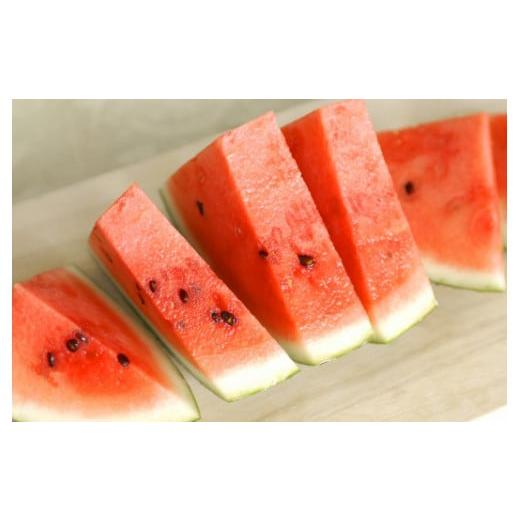 ふるさと納税 スイカ 熊本県 熊本市 熊本市植木町産 小玉すいか 2玉 合計4〜5kg 2026年4月下旬〜5月下旬迄順次発送予定 スイカ 西瓜 果物 くだもの フルーツ