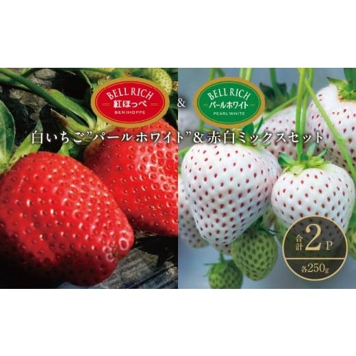 ふるさと納税 魚貝類 北海道 浜中町 [数量限定]白いちご"パールホワイト"&赤白ミックスセット(合計2パック) BELL RICH