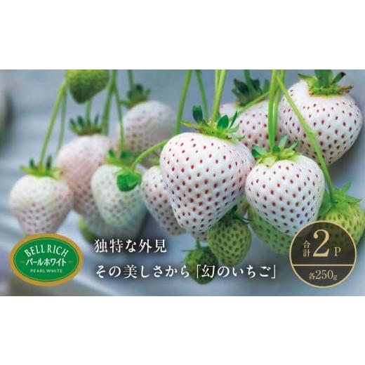 ふるさと納税 魚貝類 北海道 浜中町 [数量限定]白いちご"パールホワイト"(計2パック) BELL RICH
