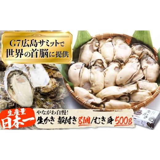 ふるさと納税 牡蠣 生牡蠣 広島県 江田島市 3月1日(日)着 広島G7で提供された牡蠣 生牡蠣 着日指定可能 やながわ自慢 牡蠣 むき身500g/殻付き8個 かき 海…