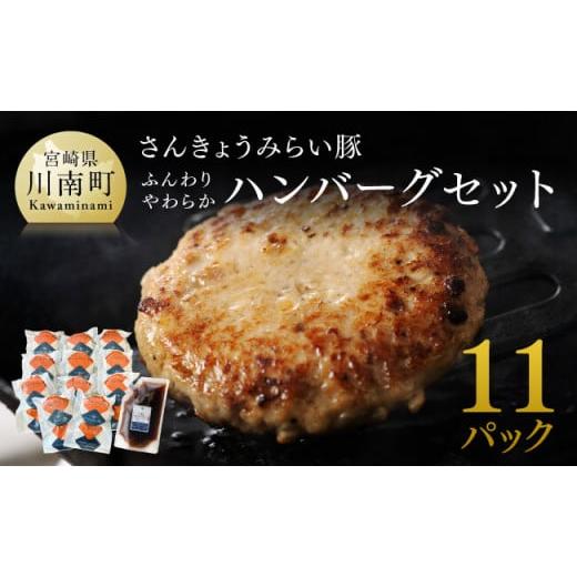 ふるさと納税 豚肉 ハンバーグ 宮崎県 川南町 令和8年1月発送 さんきょうみらい豚 "ふんわりやわらか" ハンバーグセット(90g×11P、ソース200g付) 豚肉 国…