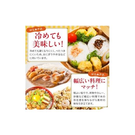 ふるさと納税 米 はえぬき 山形県 米沢市 令和7年産 山形県産 はえぬき 無洗米 10kg ( 5kg × 2袋 ) 白米 2025年産 産地直送 山形県 米沢市_3