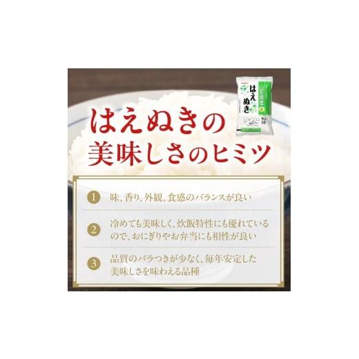 ふるさと納税 米 はえぬき 山形県 米沢市 令和7年産 山形県産 はえぬき 無洗米 10kg ( 5kg × 2袋 ) 白米 2025年産 産地直送 山形県 米沢市_4