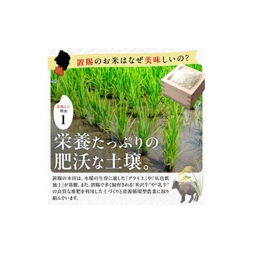 ふるさと納税 米 はえぬき 山形県 米沢市 令和7年産 山形県産 はえぬき 無洗米 10kg ( 5kg × 2袋 ) 白米 2025年産 産地直送 山形県 米沢市_5