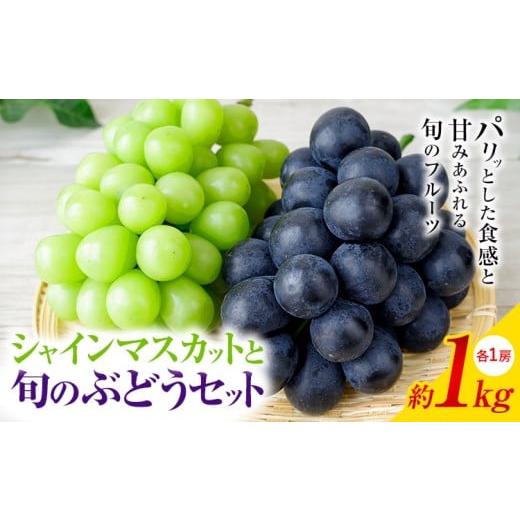 ふるさと納税 ぶどう マスカット 岡山県 矢掛町 2026年発送 シャインマスカット ぶどう 岡山県産 シャインマスカットと旬のぶどうセット 約1kg 2房 Grapes ga…