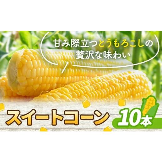 ふるさと納税 とうもろこし 熊本県 苓北町 とうもろこし スイートコーン 10本 ?橋商店[2026年5月中旬-6月下旬頃出荷]熊本県 苓北町 野菜 コーン 玉蜀黍 コー…