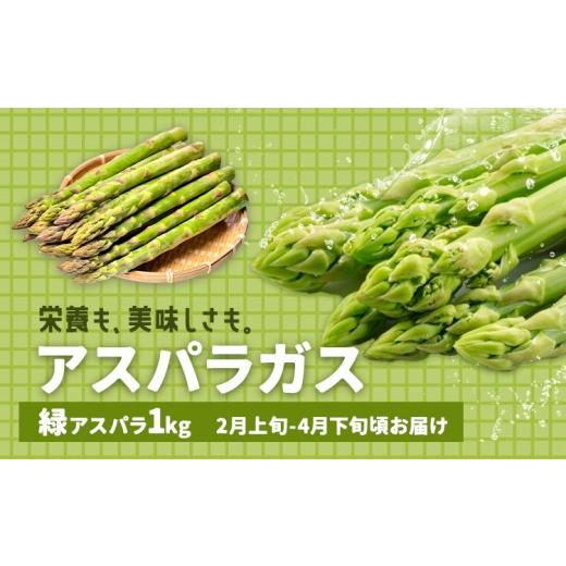 ふるさと納税 野菜類 熊本県 苓北町 アスパラガス グリーン 春アスパラ 1束 100g 10束 ?橋商店[2月上旬-4月下旬]熊本県 苓北町 野菜 アスパラ アスパラベー…