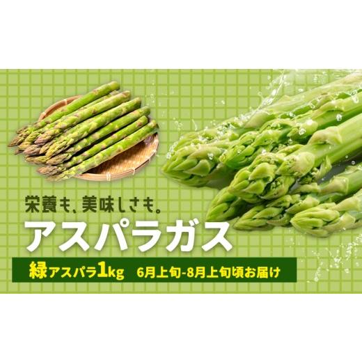 ふるさと納税 野菜類 熊本県 苓北町 アスパラガス グリーン 夏アスパラ 1束 100g 10束 ?橋商店[6月上旬-8月上旬]熊本県 苓北町 野菜 アスパラ アスパラベー…