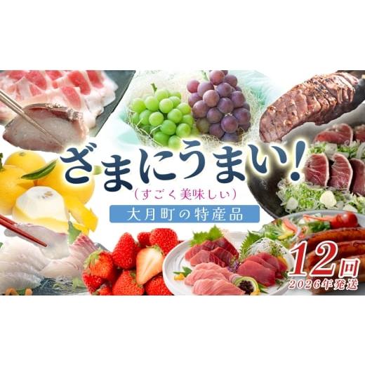 ふるさと納税 果物類 高知県 大月町 定期便 12回 ざまにうまい 大月町 特産品セット|いちご 真鯛 鶏もも肉 むね肉 かつおの藁焼きたたき 力豚 豚ロース 豚こ…