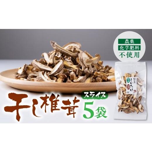ふるさと納税 野菜類 愛知県 豊橋市 干し椎茸 スライス 小分け 20g×5袋