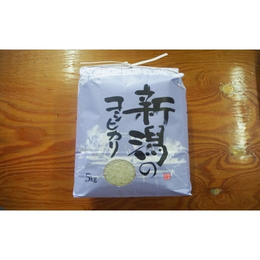 ふるさと納税 米 コシヒカリ 新潟県 新潟市 コシヒカリ5kg
