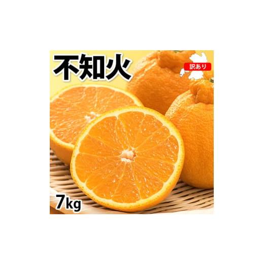 ふるさと納税 みかん・柑橘類 熊本県 熊本市 訳あり 不知火 計7kg 2026年1月下旬〜4月下旬迄順次発送予定