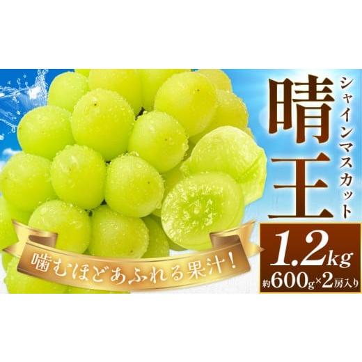ふるさと納税 ぶどう マスカット 岡山県 浅口市 2026年先行予約 ぶどう シャインマスカット 晴王 約1.2kg (約600g×2房入り) 満天フルーツ[2026年9月上旬-10…