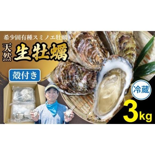 ふるさと納税 牡蠣 生牡蠣 佐賀県 小城市 2月配送 先行予約 天然 有明海産 住之江牡蠣 殻付き 冷蔵牡蠣 カキ 牡蠣 3kg 貝類 海産物 魚介類 魚介 貝 魚貝 魚貝…