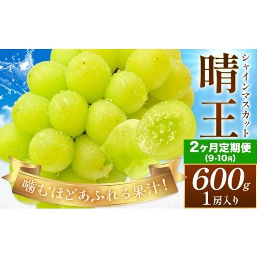 ふるさと納税 ぶどう マスカット 岡山県 浅口市 2026年発送先行予約 2ヶ月定期便 ぶどう シャインマスカット 晴王 約600g(1房入り)×2ヶ月定期便 満天フルー…