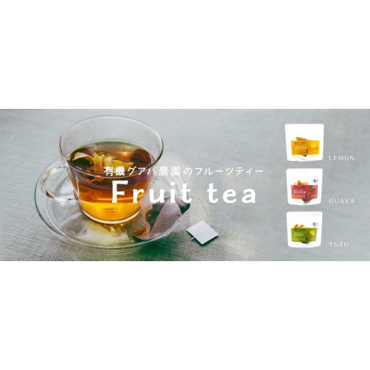 ふるさと納税 紅茶 茶葉・ティーバッグ 高知県 南国市 フルーツティーはじめてセット | フルーツティー フルーツ お茶 セット ティーバッグ 有機JAS認定 高知…