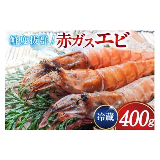 ふるさと納税 エビ 石川県 志賀町 超甘 赤ガスエビ 冷蔵 400g 小川水産 石川県 志賀町 CM6002 ガスエビ ガス海老 がすえび トゲザコエビ