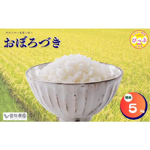 ふるさと納税 米 北海道 比布町 2025年産 おぼろづき 5kg 菅原農産 米 お米 北海道米 国産 白米 コメ 北海道 比布町 ぴっぷ