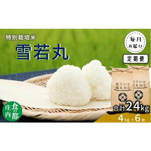 ふるさと納税 米 山形県 三川町 食の都庄内 定期便6回 井上農場の特別栽培米 雪若丸 4kg×6回
