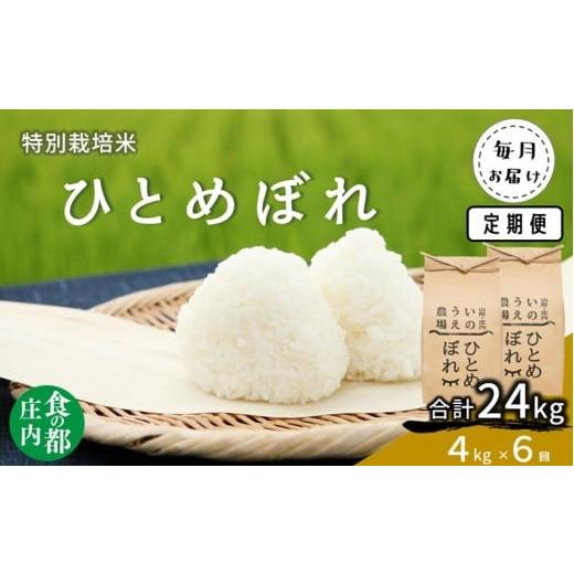 ふるさと納税 米 ひとめぼれ 山形県 三川町 食の都庄内 定期便6回 井上農場の特別栽培米 ひとめぼれ 4kg×6回