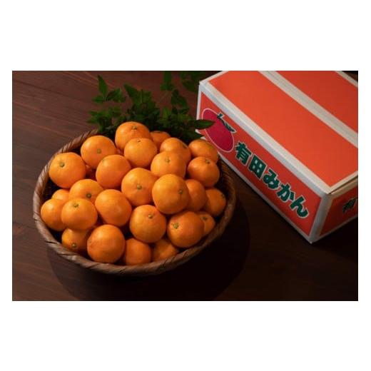 ふるさと納税 果物類 みかん 和歌山県 有田川町 [全2回・毎月発送]お一人様用採れたて甘い手摘み有田みかん 1.5kg(15個前後) S〜Lサイズの不揃い