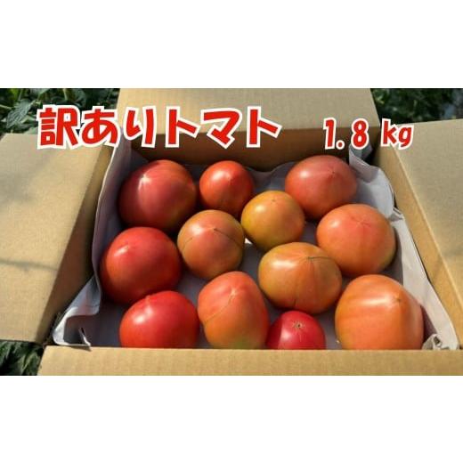 ふるさと納税 野菜類 トマト 長野県 飯田市 訳あり トマト 七久里農園 | トマト 訳あり 野菜 やさい 新鮮 健康 美容 長野県 飯田市