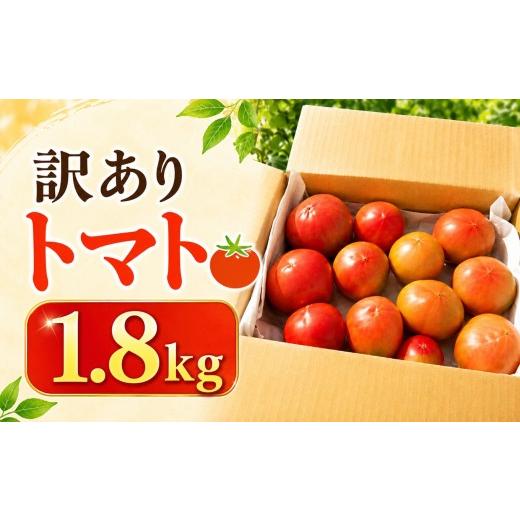 ふるさと納税 野菜類 トマト 長野県 飯田市 訳あり トマト 七久里農園 2026年6月〜11月中旬発送 | トマト 訳あり 野菜 やさい 新鮮 健康 美容 長野県 飯田市_1