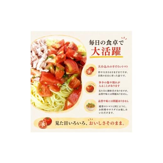ふるさと納税 野菜類 トマト 長野県 飯田市 訳あり トマト 七久里農園 2026年6月〜11月中旬発送 | トマト 訳あり 野菜 やさい 新鮮 健康 美容 長野県 飯田市_3