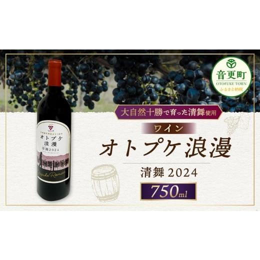 ふるさと納税 ワイン 赤ワイン 北海道 音更町 ワイン オトプケ浪漫清舞2024 750ml×1本