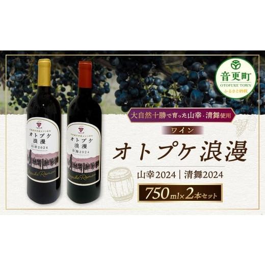 ふるさと納税 ワイン 赤ワイン 北海道 音更町 ワイン オトプケ浪漫山幸2024 ・ 清舞2024 750ml×2本(各1本) セット