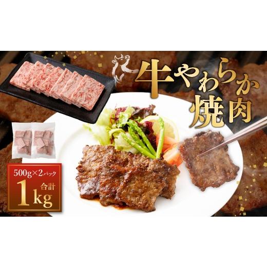 ふるさと納税 牛肉 焼肉・バーベキュー 熊本県 あさぎり町 牛やわらか焼肉 500g×2パック 計1kg 焼肉 焼き肉 牛 肉牛 冷凍 熊本県 あさぎり町