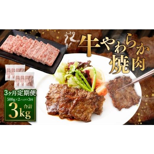 ふるさと納税 牛肉 焼肉・バーベキュー 熊本県 あさぎり町 定期便3回 牛やわらか焼肉 / 1回あたり:500g×2パック 計1kg / 焼肉 焼き肉 牛 肉牛 冷凍 熊本…