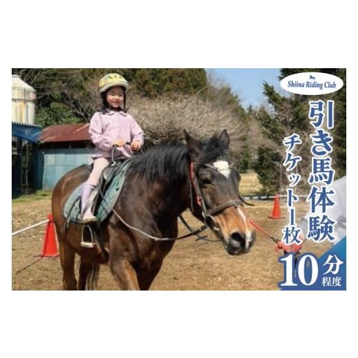 ふるさと納税 体験チケット 茨城県 北茨城市 Shiina Riding Club 引き馬体験10分程度 茨城県 北茨城市 アクティビティ おでかけ レンタル 体験 チケット 馬 …
