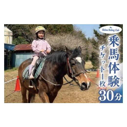ふるさと納税 体験チケット 茨城県 北茨城市 Shiina Riding Club 乗馬体験30分 茨城県 北茨城市 アクティビティ おでかけ レンタル 体験 チケット 馬 (DA001…
