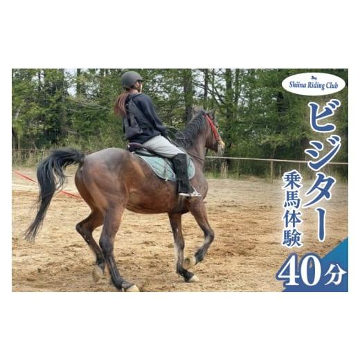 ふるさと納税 体験チケット 茨城県 北茨城市 Shiina Riding Club ビジター乗馬体験40分 茨城県 北茨城市 アクティビティ おでかけ レンタル 体験 チケット 馬…