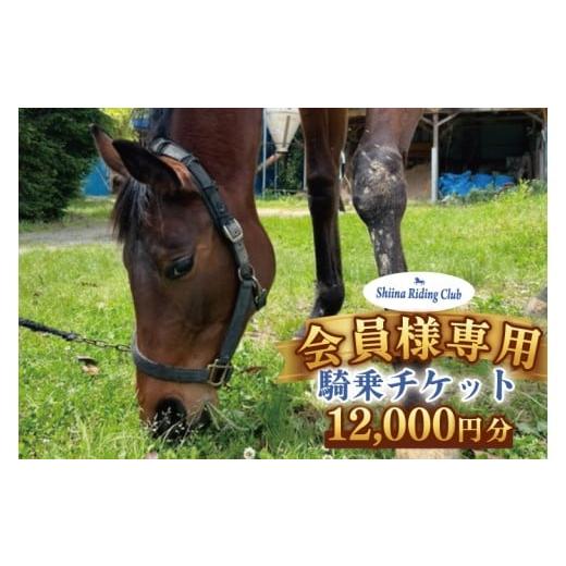ふるさと納税 体験チケット 茨城県 北茨城市 Shiina Riding Club 会員様が使える騎乗チケット(12,000円分) 茨城県 北茨城市 アクティビティ おでかけ 体験 …