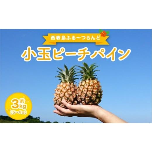 ふるさと納税 果物類 沖縄県 竹富町 2026年 先行予約 小玉 ピーチパイン 約3kg 5〜8玉 西表島ふる〜つらんど 美味しさギュッと 果物 フルーツ パイン 約3kg(5…