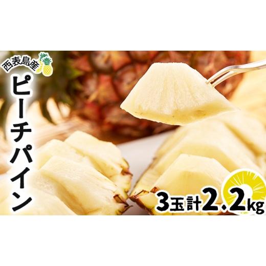 ふるさと納税 果物類 沖縄県 竹富町 2026年 先行予約 ピーチパイン 約 2.2kg (3玉) 西表島ふる〜つらんど 不動の人気No.1 甘熟 果物 フルーツ パイン 約2.2kg …