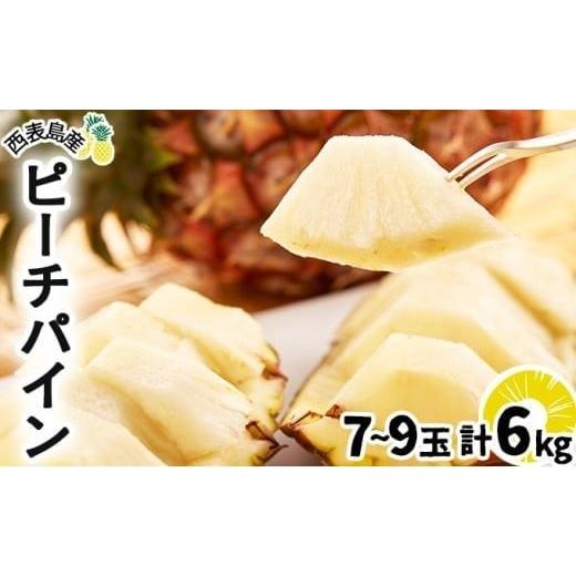 ふるさと納税 果物類 沖縄県 竹富町 2026年 先行予約 ピーチパイン 約6kg 7〜9玉 甘熟 西表島ふる〜つらんど 不動の人気No.1 果物 フルーツ パイン 約6kg 7〜9…