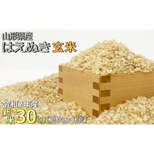 ふるさと納税 玄米 山形県 長井市 令和7年産新米 玄米 山形県産「はえぬき」30kg_A190(R7)