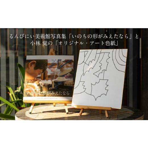 ふるさと納税 雑貨・日用品 絵画 岩手県 花巻市 るんびにい美術館写真集「いのちの形がみえたなら」小林覚の「オリジナル・アート色紙」 2310